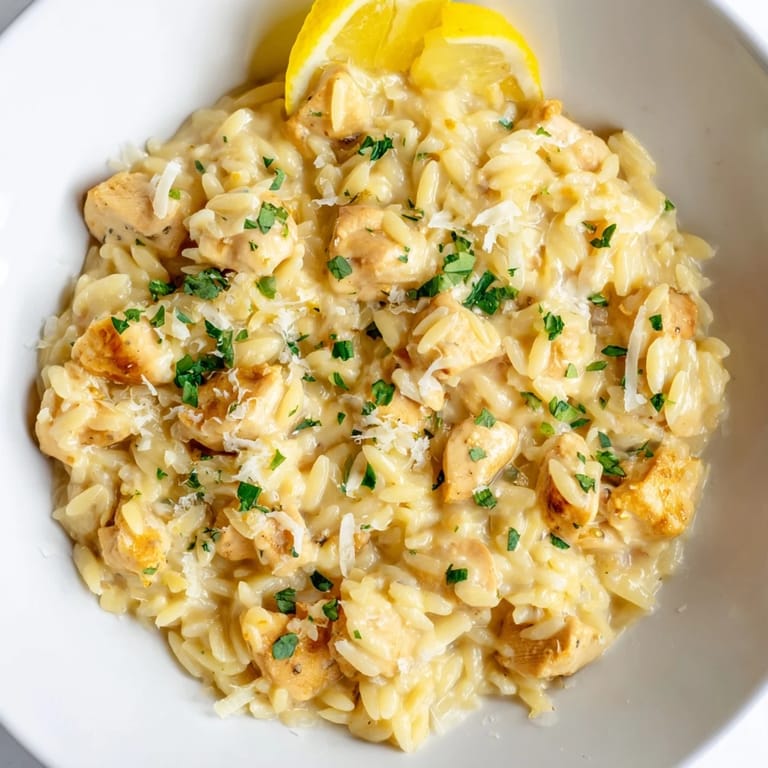 Freshly plated creamy lemon chicken orzo, garnished with parsley and lemon slices, looks delicious and comforting.